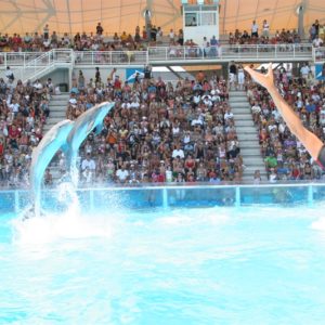 Impianti Sportivi in Cemento Armato Prefabbricato