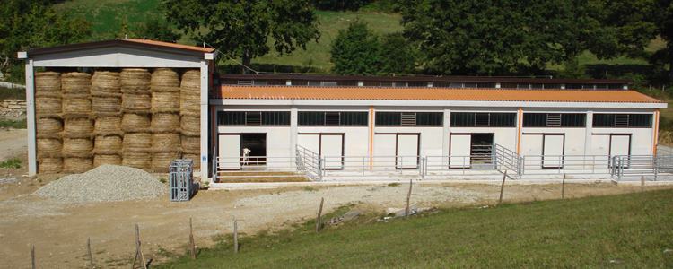 DSC01728 Impianti Agricoli e Zootecnici