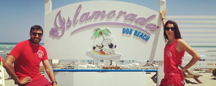 Islamorada-1-1 Manufatti in Cemento Armato
