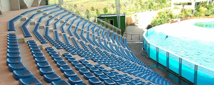 Particolare-poltroncine Impianti Sportivi