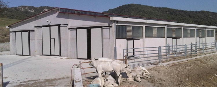 Rosati-Benito-1-1 Impianti Agricoli e Zootecnici
