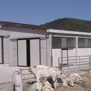 Impianti Zootecnici in Cemento Armato Prefabbricato